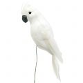 Floristik24 Papegøjer med fjer hvide Kunstig kakadue dekorativ fugl 4stk