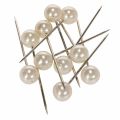 Floristik24 Perlehovedstifter champagne Ø15mm 75mm