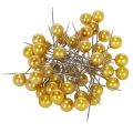 Floristik24 Perlehovedstifter guld Ø10mm 60mm 50p
