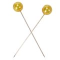 Perlehovedstifter guld Ø10mm 60mm 50p | Floristik24.dk