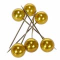 Floristik24 Perlehovedstifter guld Ø20mm 90mm