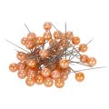 Floristik24 Perlestifter orange Ø10mm 60mm