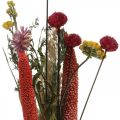 Floristik24 Tørrede blomsterbuket med engblomster lyserødt gør-det-selv sæt H30-35cm