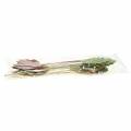 Floristik24 Plantestikblad 8-10 cm naturligt / grønt / lilla 24stk