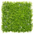 Floristik24 Kunstig buksbom plantemåtte 55x55 cm til dekorativ vægdekoration