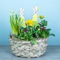 Floristik24 Plantekasse lavet af hø, dekorativ kurv, plantekurv, blomsterkurv oval sæt med 3 stk