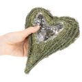 Plantehjerte lavet af naturmateriale med folieindlæg, 22 cm, 2 stk. | Floristik24.dk
