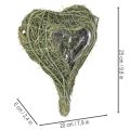 Naturligt plantehjerte til blomsterdekorationer med folie, 25 cm | Floristik24.dk