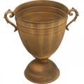 Plantekrukke rust look kop vase metal Ø22,5cm H32,5cm | Floristik24.dk