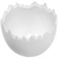 Floristik24 Plantekrukke æggeskal hvid Ø12cm H9cm 2stk