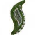 Floristik24 Plantermos og kegler bølger grønne, vaskede hvide 41 × 15cm