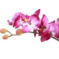 Floristik24 Kunstige orkideer i potte Phalaenopsis kunstige blomster orkideer pink 34cm
