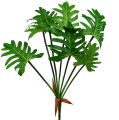 Floristik24 Philodendron plante kunstgrøn 58cm