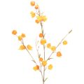 Floristik24 Kunstig kinesisk lanterneplante, Physalis-gren med blomster, 95 cm
