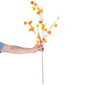 Kunstig kinesisk lanterneplante, Physalis-gren med blomster, 95 cm | Floristik24.dk