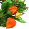 Kunstig Physalis-krans, orange og grøn, Ø28 cm, efterårsdekoration | Floristik24.dk
