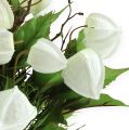 Floristik24 Physalis busk hvid 30 cm