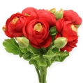 Floristik24 Ranunculus buket rød 30 cm