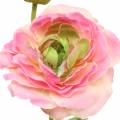 Floristik24 Ranunculus blomst og knopp kunstig lyserød 34 cm