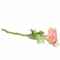 Floristik24 Ranunculus blomst og knopp kunstig lyserød 34 cm