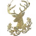 Floristik24 Rensdyr til at hænge, juledekoration, hjortehoved, metalvedhæng gyldent antik look H23cm 2stk