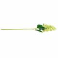 Floristik24 Kunstig panicle hortensia, hortensia grøn, høj kvalitet silke blomst 98cm