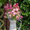 Floristik24 Rhodanthe pink-pink, silkeblomster, kunstig plante, bundt halmblomster L46cm