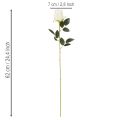 Kunstig rosenblomst, lang stilk, til vase, 62 cm, 12 stk. | Floristik24.dk