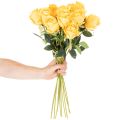 Kunstig rose med lang stilk, kunstig blomst, 62 cm, 12 stk. | Floristik24.dk