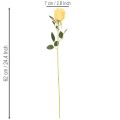 Kunstig rose med lang stilk, kunstig blomst, 62 cm, 12 stk. | Floristik24.dk