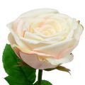 Floristik24 Kunstig rose creme 69cm