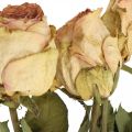 Floristik24 Dekorative roser, tørret blomst, tørrede roser, Valentinsdag, begravelsesblomster, rustikke roser gul-pink L48cm 5 stk.