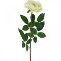 Floristik24 Kunstrose, dekorativ rose, silkeblomst cremehvid, grøn L72cm Ø12cm