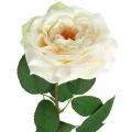 Floristik24 Cremet hvid abrikosrose, silkeblomst, kunstige roser L72cm Ø12cm