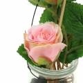 Floristik24 Rose i et glas Rosa H23cm