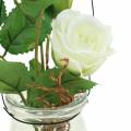 Floristik24 Rose i et glas hvidt H23cm