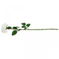 Floristik24 Hvid Rose Falsk Rose på Stængel Silke Blomst Falsk Rose L72cm Ø13cm