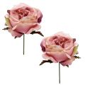 Floristik24 Rose hovedcreme, lyserød 17cm 4stk
