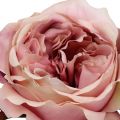 Floristik24 Rose hovedcreme, lyserød 17cm 4stk