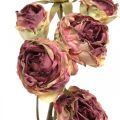 Floristik24 Kunstig rose, borddekoration, kunstig blomst pink, rosengren antik look L53cm