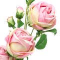 Floristik24 Rose gren lyserød 100cm