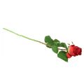 Floristik24 Rosengren Silkeblomst Kunstig Rose Rød 72cm