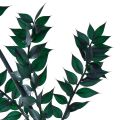 Floristik24 Ruscus grønne dekorative grene mørkegrønne 75-95cm 1kg