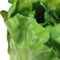 Floristik24 Salathoved grøn dekorativ salatmad dummies 14cm