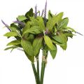 Floristik24 Kunstig salvie bundt, silke blomster, salvie grene kunstig viol L26cm 4 stk.