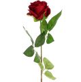 Floristik24 Velvet roserød 65 cm 6stk