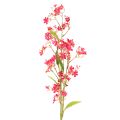 Floristik24 Kunstig blomstrende gren Oncidium orkidé dekoration 112cm 3 stk