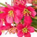 Kunstig blomstrende gren Oncidium orkidé dekoration 112cm 3 stk | Floristik24.dk