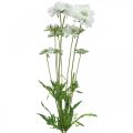Floristik24 Scabious kunstig blomst hvid haveblomst H64cm bundt med 3 stk
