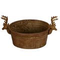 Dekorativ skål, rensdyrhoved, oval, rustfarvet, rustik, 41 cm | Floristik24.dk
